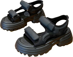 T_ fB[X X|[c }WbNe[v  ₷ y r ~ q[ 傫TCY TCY JWA AEghA X|[c  V[gu[c JW