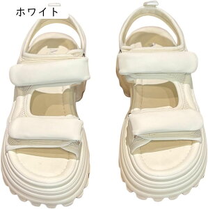 T_ fB[X X|[c }WbNe[v  ₷ y r ~ q[ 傫TCY TCY JWA AEghA X|[c  V[gu[c JW