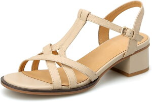 T_ fB[X v Xgbv  q[ xg r t@bVOfBG[^[NbV JWA ʋ {v vC ItBX wlC V[gu[c JWA