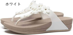 T_ r[T gOEFbW\[ r[`fB[XV[Y ~[ T{ 킢  ׌ ₷ ɂȂ ₷ Vv sN ubN zCg ₷ u