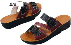 T_ fB[X ~[fB[X ؂񂱃r[`xgt  r 傫 ƂȂ h ʋC Ȑ ₷ 傫TCY JWA i  ₷ u[c