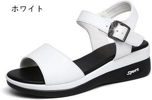 T_ fB[X EFbW ANXgbv {[_[ }`J[ lJWA I[vgD  T}[ EGbW\[ C TCY [q[4.5cm  EFbW\[