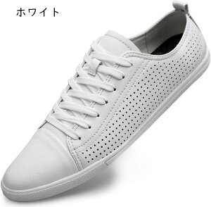 JWAV[Y Xj[J[ Y y {v OH ėp bVC T_ vC fbLV[Y AEghA ip Ȃ ~ߕt ʋC ₷ 3E L