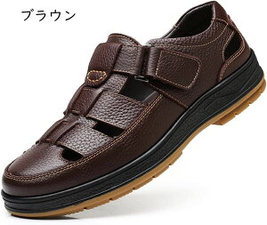 vC amC rWlXV[Y rWlX T_ Y  ʋC JWA hCo[ hCrO EH[LOV[Y ItBX y Ȃ  ₷ 풅