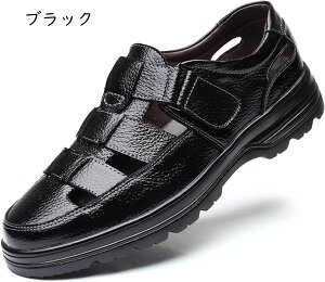 rWlXV[Y T_ YJWAV[Y Y Xb| rWlX xN T_ EH[LOV[Y ItBXvC ϋv h ʋC y 傫TCY Ȃ 