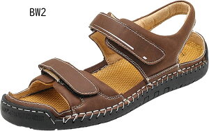 Xbp Y  r[`T_ Y  傫TCY  lC IV O  ₷ ʋC jq AEghAT_ p _炩 hL ɂȂ R 