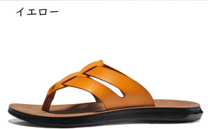 Xbp Y gOT_ RtH[g v  r[`T_ y  AEghA h [V[Y ʋC  JWAXbp 傫TCY IV 