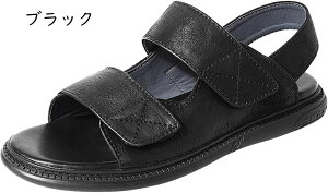 U[T_ Y OfBG[^[T_ {v r[`T_ xN RtH[g ₷ Ȃ  AEghA ϋv ʋC hCrOV[Y JWA 