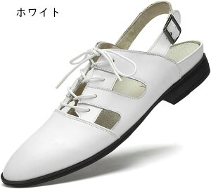 OJT_ Y  JT_ rWlX obNohT_ OfBG[^[T_ ₷ ʋC y 