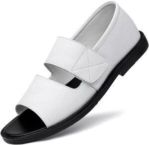 T_ Y OfBG[^[T_  O r[`T_ ItBXT_ RtH[g 傫TCY y