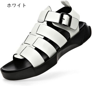 T_ Y OfBG[^[T_ O ėp Xgbv r[`T_  ʋC X|[cT_ RtH[g JWA y ~ y AEghA i 