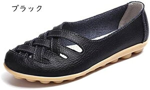 fB[XJV ʋC  oGV[Y hCrOV[Y fB[X RtH[g ₷ mC JWA ʊw ʋ }}V[Y i[XV[Y v