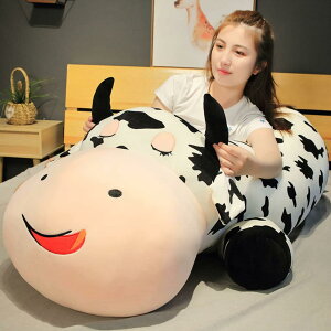   ʂ _炩ᔽ  NbV Jo[􂦂  킢 ubN YQ ʂ 100cm @\ ֎q \t@[w ObY 蕨 N