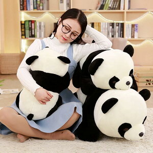 p_  ʂ _炩ᔽ 50cm  NbV Jo[􂦂  킢 YQ @\ ֎q \t@[w ^Cv6 v[g ObY 蕨