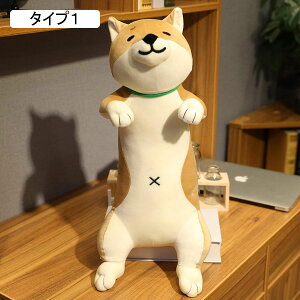 p_  ʂ _炩ᔽ 50cm  NbV Jo[􂦂  킢 YQ @\ ֎q \t@[w ^Cv6 v[g ObY 蕨