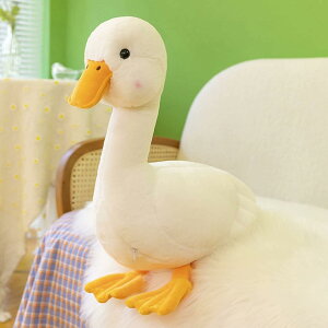 Aq ObY 蕨 ʂ NX}Xv[g Aq 􂦂 ֎q  ᔽ 킢 70cm  NbV _炩 zCg @\ YQ \t
