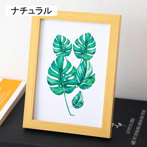  ʐ^ LTCY 8.8*12.7cm i` ʐ^t[ Ǌ| tHgt[  ؐ uE zCg j z ʐ^ L  a LOi ސEj