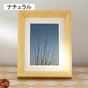 ʐ^ tHgt[ Ǌ| X^hp  ؐ k  tHgX^h 38*53cm ʐ^ z v[g Mtg z |XgJ[h nKLTCY  ̓ ގ ޏ M