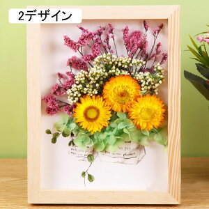 vU[uht[ ʐ^ tHgt[ 蕨 20.3*25.4cm a v[g    j җj LO ސEj JXj hV̓ t[ uU