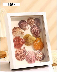 {bNXt[ W{̊z ݃tHgt[ ؐ 21*29.7cm hCt[ zMtg ̃EFJ{[h 蕨 ʐ^ v[gh Vh[{bNX fBXv [5