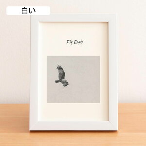 ʐ^ 2L tHgt[ ʐ^ ؐ  tHgX^h ʐ^t[ Vv ʐ^  t[ z i` ʐ^X^h cp u 21*29.7cm 