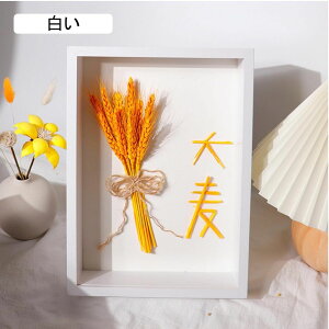 tHgt[ Lrl ʐ^  ̊z {bNXt[ z [50mm {bNXt[ ؐt[ 21*29.7cm pXeJ[ z A[g{bNXt[ ̊z tH