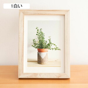 tHgt[  ؐ tHg t[ z a4 t[  A[gt[ ؐ uE zCg Ebht[ ʐ^  12.3*17.4 Ǌ| j oYj