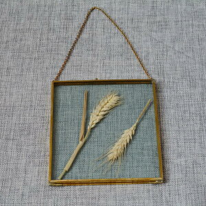 ʐ^  fBXvCP[X tHgfBXvC ʐ^[ Ǌ| ݂邷 A[gt[ AeB[N t[ Be[W Mtg v[g 1fUC C ^Jłł