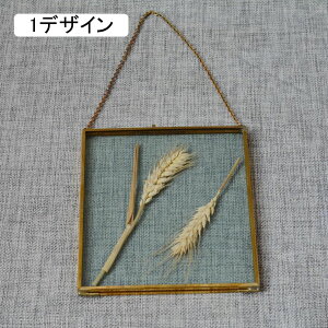 ʐ^  fBXvCP[X tHgfBXvC ʐ^[ Ǌ| ݂邷 A[gt[ AeB[N t[ Be[W Mtg v[g 1fUC C ^Jłł