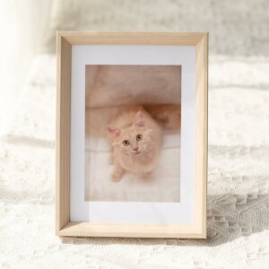 tHgt[ tHgt[  AN ʐ^ ʐ^  킢 v[g ގ ޏ s LO j vg tHg tHgpl v[g 2fUC 10.1*1