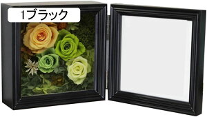 tHgt[ A4 u Ǌ|p Ȗؐ ʐ^ v[gɍœK̎ʐ^ 11*15cm A3 TCY  t[ cp ʐ^ tHgX^h  i`