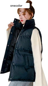 fB[X _ExXg H~  h h g V[g X^hJ[ m[X[u y  ̌^Jo[  ʋ ʊw AEghA 傫TCY n ubN/x[