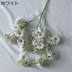  ͂Ȃ   e 2 LO  ̓Mtg { sv  t[ 뉀 Ԍ|p v[g  iX ԑ VN k DIY