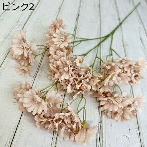  ͂Ȃ   e 2 LO  ̓Mtg { sv  t[ 뉀 Ԍ|p v[g  iX ԑ VN k DIY