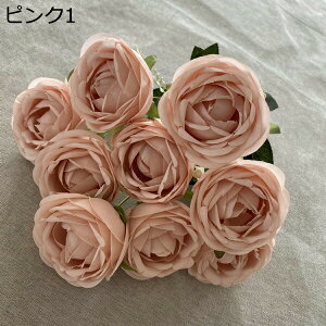 coL ԑ ͂Ȃ 218{  Ԍ|p j v[g  ʐ^Be p LO ̓Mtg }`bN  VN  { u[P  F