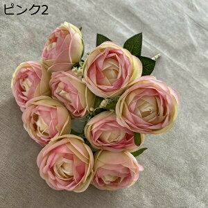 coL ԑ ͂Ȃ 218{  Ԍ|p j v[g  ʐ^Be p LO ̓Mtg }`bN  VN  { u[P  F