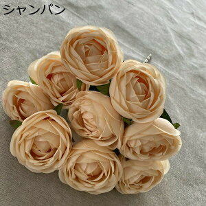 coL ԑ ͂Ȃ 218{  Ԍ|p j v[g  ʐ^Be p LO ̓Mtg }`bN  VN  { u[P  F