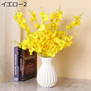 IVW[@ԁ@{@G}@@sv@͂Ȃԁ@fR[V@CeA@Lb`@֏@ItBX@iX@pف@A[gt[@Be