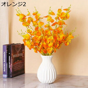 IVW[@ԁ@{@G}@@sv@͂Ȃԁ@fR[V@CeA@Lb`@֏@ItBX@iX@pف@A[gt[@Be