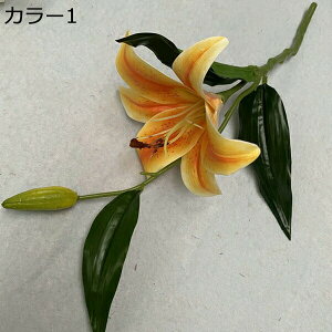  ͂Ȃ 1   Ԍ|p j v[g  ʐ^Be LO ̓ 뉀 p }`bN  VN  sv { u[P  k