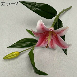  ͂Ȃ 1   Ԍ|p j v[g  ʐ^Be LO ̓ 뉀 p }`bN  VN  sv { u[P  k