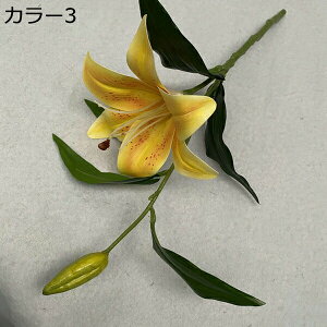  ͂Ȃ 1   Ԍ|p j v[g  ʐ^Be LO ̓ 뉀 p }`bN  VN  sv { u[P  k