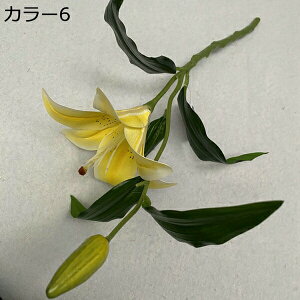  ͂Ȃ 1   Ԍ|p j v[g  ʐ^Be LO ̓ 뉀 p }`bN  VN  sv { u[P  k