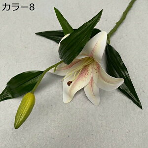  ͂Ȃ 1   Ԍ|p j v[g  ʐ^Be LO ̓ 뉀 p }`bN  VN  sv { u[P  k