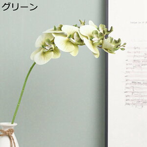 ԑ 3Zbg ͂Ȃ Ӓ Ԍ|p j v[g  ʐ^Be LO ̓ }`bN  VN  { u[P  F k DIY