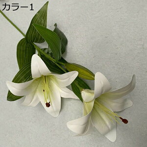 ͂Ȃ  1   Ԍ|p j v[g  ʐ^Be LO ̓ 뉀 p }`bN  VN  sv { u[P  k