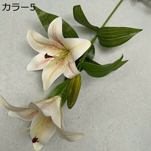 ͂Ȃ  1   Ԍ|p j v[g  ʐ^Be LO ̓ 뉀 p }`bN  VN  sv { u[P  k