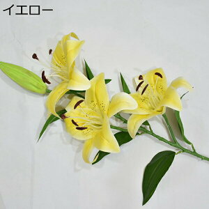  ͂Ȃ  {   ̓Mtg LO  { sv  t[ 뉀 Ԍ|p v[g  iX ԑ VN