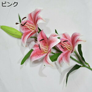  ͂Ȃ  {   ̓Mtg LO  { sv  t[ 뉀 Ԍ|p v[g  iX ԑ VN