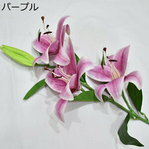  ͂Ȃ  {   ̓Mtg LO  { sv  t[ 뉀 Ԍ|p v[g  iX ԑ VN